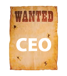 В пошуках СЕО